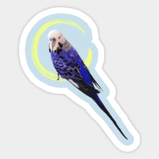 Blue budgie Sticker